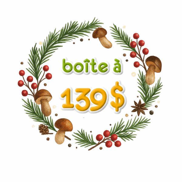 Boîte des fêtes à 139 $