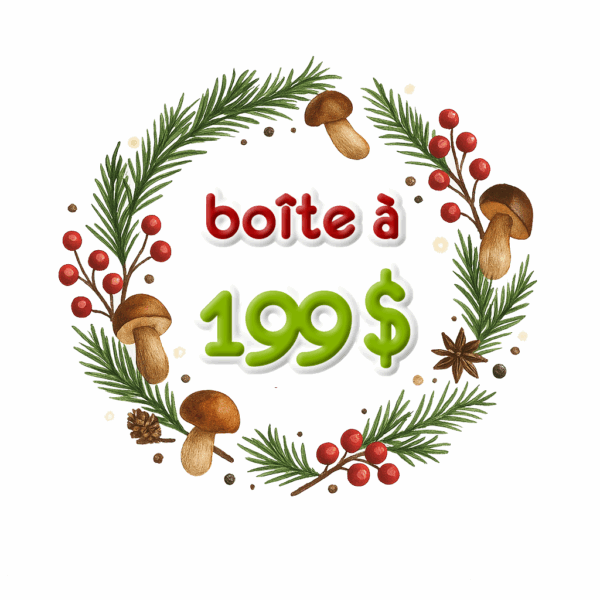 Boîte des fêtes à 199 $