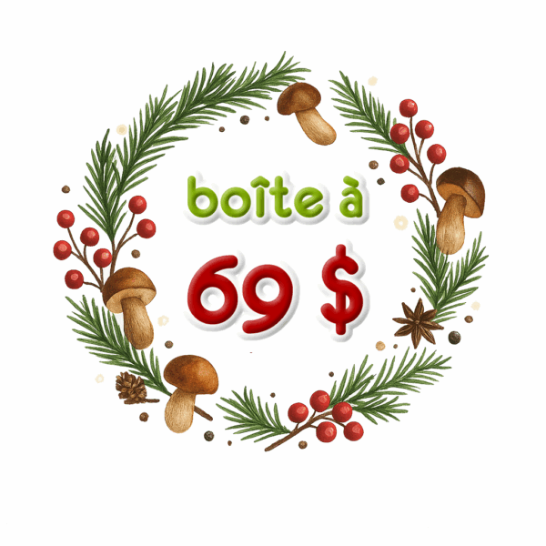 Boîte des fêtes à 69 $